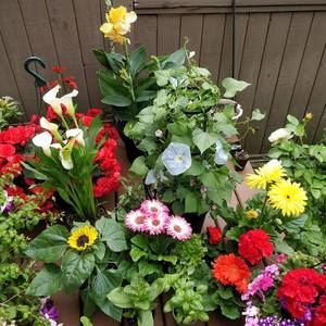 Meet your Posher, Gloria